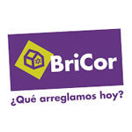 Logo Bricor