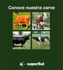 Catálogo Especial Carnes Supermercados SUPERSOL