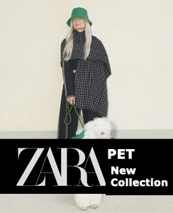 zara-pet-caratula