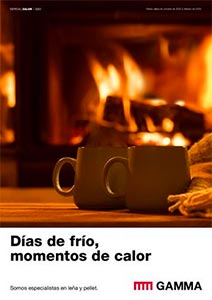 Folleto de Ofertas en Estufas y Radiadores de GRUP GAMMA