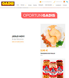 folleto-oportunigadis-ofertastico