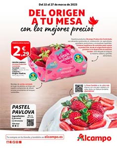 Folleto Ofertas Quincenales Alcampo