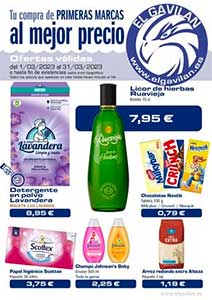 Folleto de Ofertas del Mes en Supermercados EL GAVILÁN