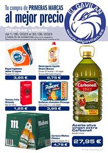 Folleto de Ofertas del Mes en Supermercados EL GAVILÁN