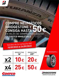 Catálogo de Ofertas de Neumáticos COSTCO Wholesale