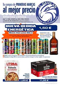 Folleto de Ofertas del Mes en Supermercados EL GAVILÁN