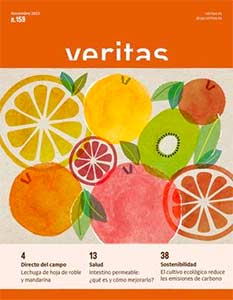 Revista VERITAS